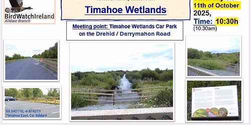 Walk to the Timahoe Wetlands