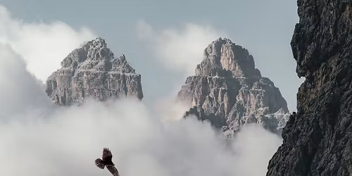 Roczna Grupa Psychoterapeutyczna