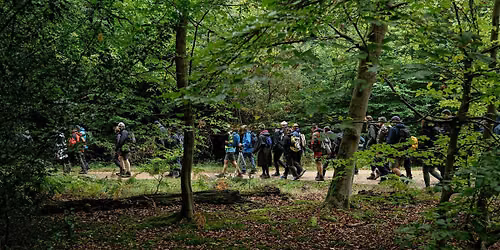Epping Forest Big Walk 2026