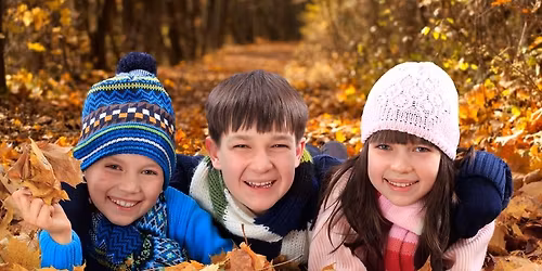 Leaf Piles