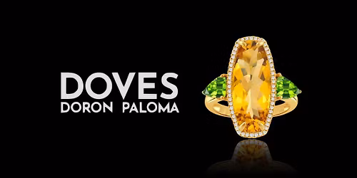 Holiday Sparkle Weekend: DOVES by Doron Paloma