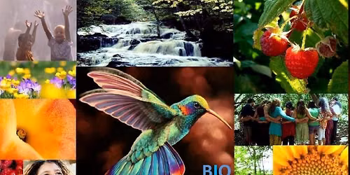 Biodanza Weekend - Enchanted Aliveness:  Dancing the Essence of Summer