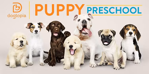 Puppy Pre-School