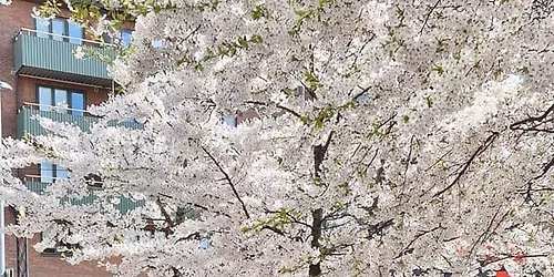 Julelunsj p\u00e5 Peppes L\u00f8ren, - p\u00e5meldingsliste ligger p\u00e5 Sterk L\u00f8ren