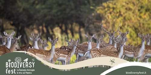 \ud83c\udf3f Romagna Selvatica - Incontro con gli autori & Forest Therapy alla Rocca Malatestiana