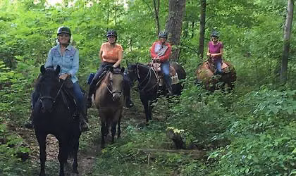 June Ride-Pinegrove C 4