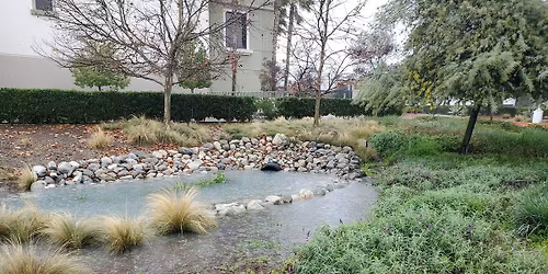 LASSC - Westwood Greenway Tour