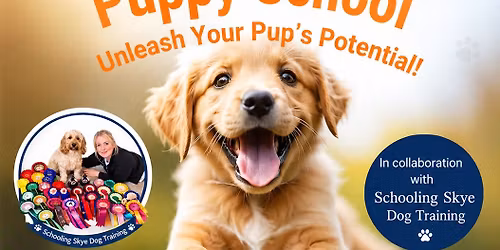 Puppy School 