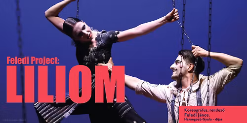 Feledi Project: LILIOM