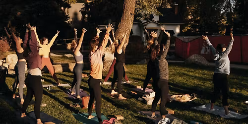 Wellness Festival