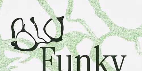 Noche BioFunky del Franz | Mayo 2026