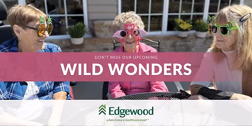 Wild Wonders