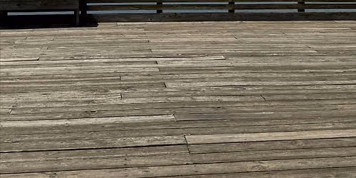 Lake Robinson Day: FREE Lake-Front Yoga in Greer, SC