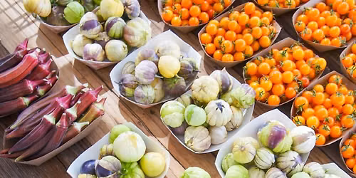 Reno Food Systems Farm Stand