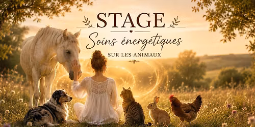 Stage en soins \u00e9nerg\u00e9tiques sur les animaux 
