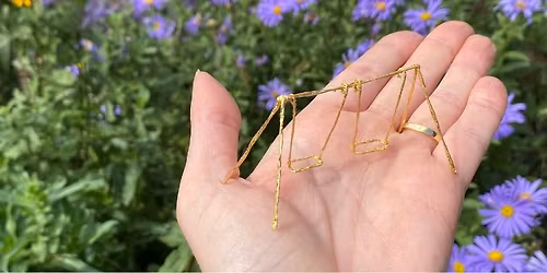 Small Pleasures: Wild Imagining at Wharton Park