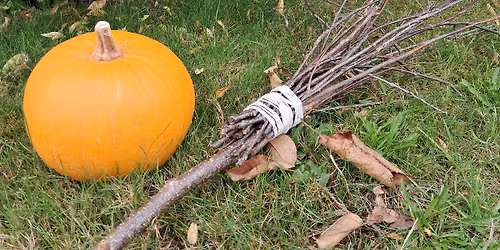Spooky Fun in the Forest