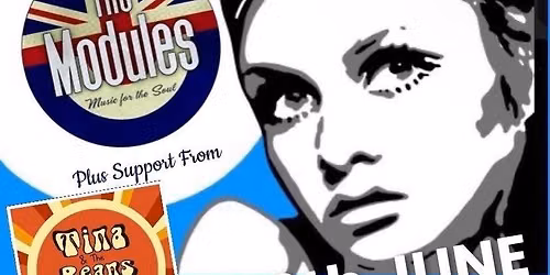 The Modules "Final Farewell" LIVE at The 1865