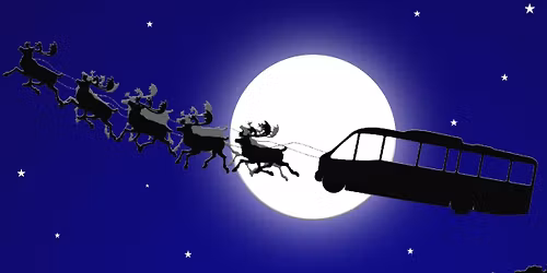 Christmas Lights Tour