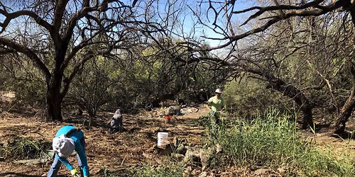 Tree Planting at Rock Ledge Spring (Sept. 9)