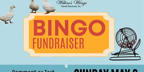 Bingo for Disabled Animals!