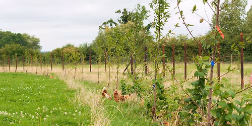 Agroforestry Open Weekend