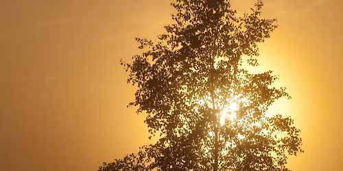 Watercolour Painting- Misty Landscapes with Vivien McGuinness