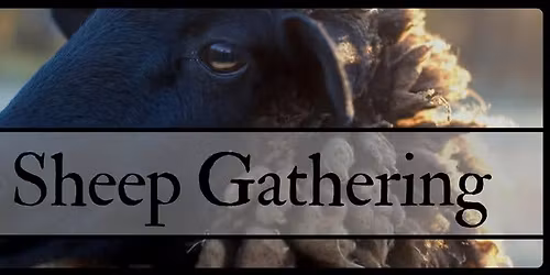 The Black Sheep Gathering 2026