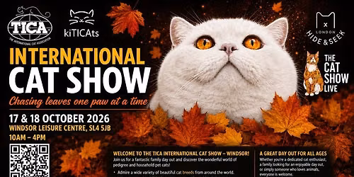 International Cat Show CHASING LEAVES ONE PAW AT A TIME