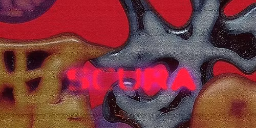 S C U R A x AboutUs Festival Aftershow 