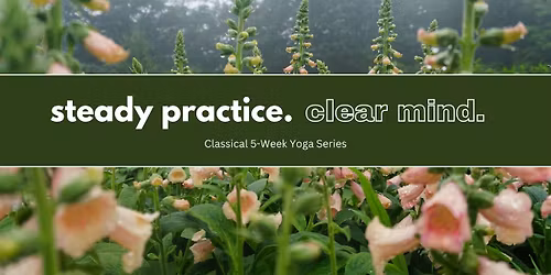 Classical Yoga Series