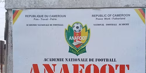 Formation en analyse vid\u00e9o et d\u00e9veloppement de la performance sportive en football