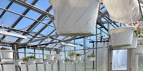 Christiana HS & MSHA Annual Plant Sale