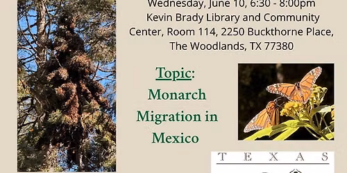 June Chapter Meeting on Monarch Migration in Mexico