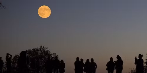 The Silhouttes at McMorran Place Sports and Entertainment Center