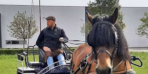 Promenade Cavaliers & Meneurs - d\u00e9di\u00e9 aux mamans - Commission attelage FFE