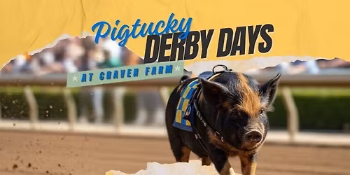ALL AGES Derby Day at Craven Farm