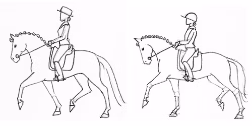 Sund ridning - tr\u00e6n dit \u00f8je