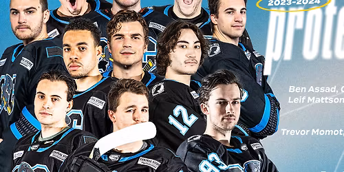 Evansville Thunderbolts at Quad City Storm