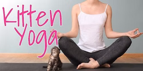 Kitten Yoga