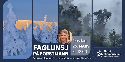 Faglunsj p\u00e5 Forstmann: Sigrun Skjelseth - "To skoger - to verdener?"