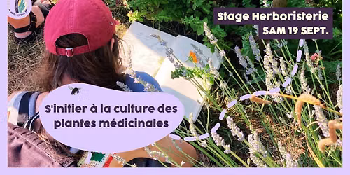 Stage 1 jour : s'initier \u00e0 la culture des plantes m\u00e9dicinales