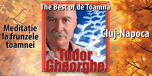 Medita\u021bie la Frunzele Toamnei - The Best of... de Toamn\u0103