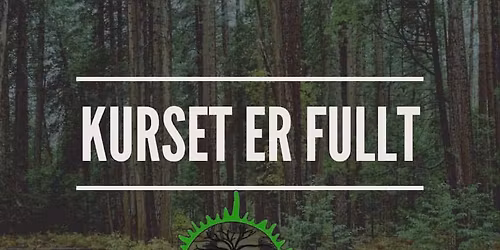 Dypere forbindelse til retningene Trondheim