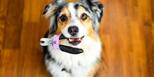 Nail Trim Fundraiser! 