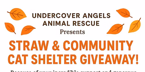 Straw & Shelter Giveaway
