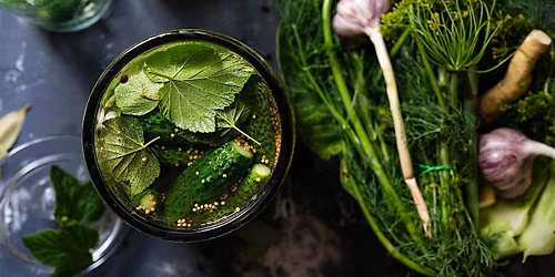 Vegetable Fermentation Workshop
