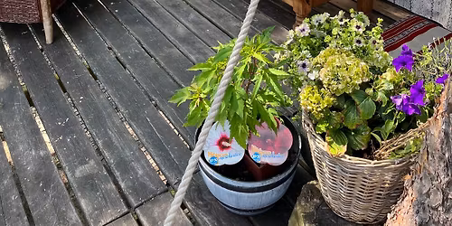 Wiosna, ach to ty. Kobiecy wyjazd z jog\u0105.