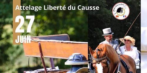 Concours d'Attelage de Tradition de Caussade et Monteils (82)