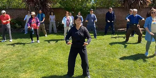 Medical Tai Chi Level 1 with Donna